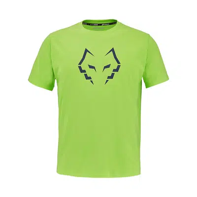 Babolat Juan Lebron T-Shirt Groen