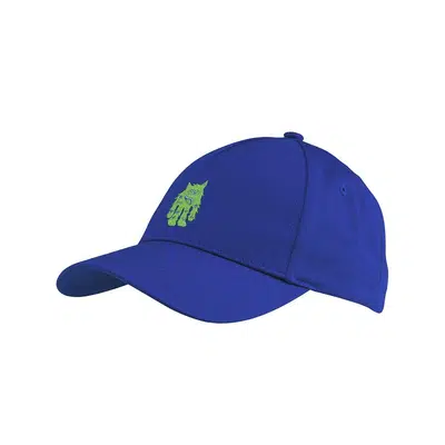 HEAD Monster Pet Blauwe Cap